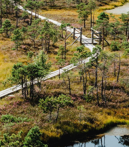 Foto de Excursión al Parque Nacional de Kemeri y Jürmala