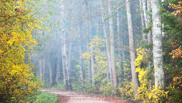 Excursión al Parque Nacional de Kemeri y Jürmala - Foto 4