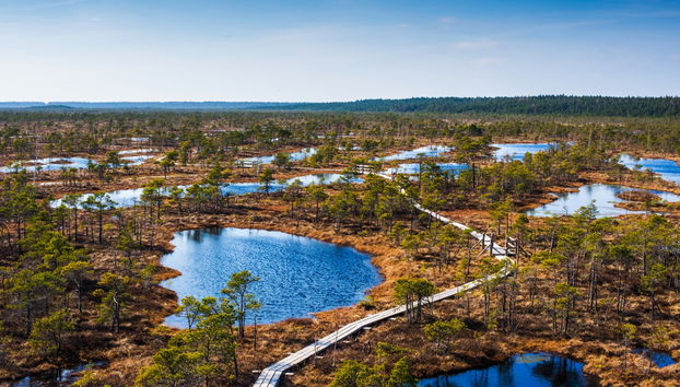 Excursión al Parque Nacional de Kemeri y Jürmala - Foto 2