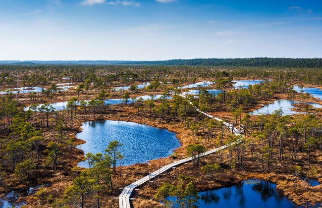 Kemeri National Park + Jürmala Day Trip - Photo 2