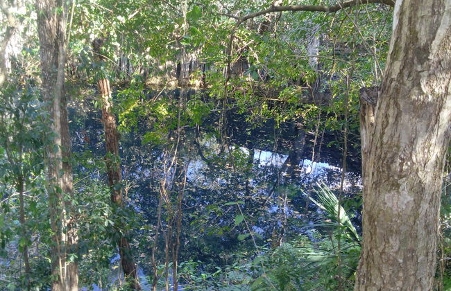 Tour por el Parque Natural Oxwatz - Foto 7