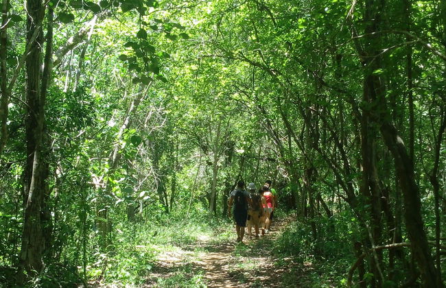 Tour por el Parque Natural Oxwatz - Foto 8