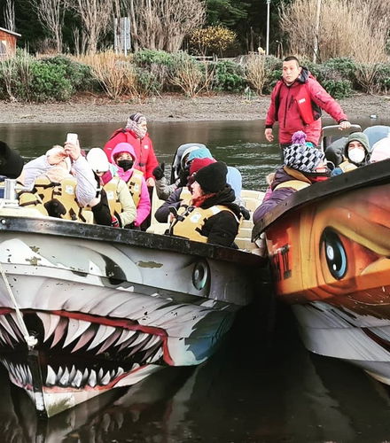 Foto de Barco por las cavernas de mármol de Puerto Sánchez y Puerto Tranquilo