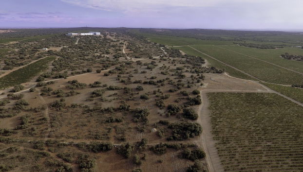 Paisaje de la bodega Finca Antigua