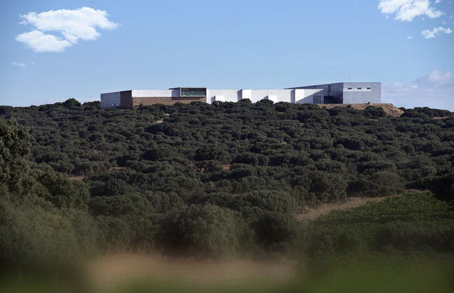 Finca Antigua Winery Visit - Photo 2