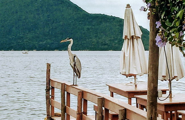 Tour por la Costa da Lagoa + Paseo en barco - Foto 4