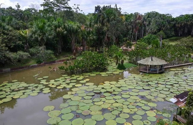 Excursión a los ríos Amazonas, Nanay y Momón - Foto 3
