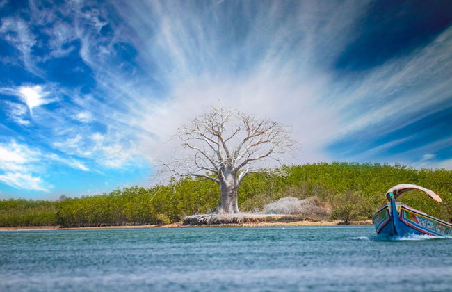 Desierto de Lompoul y deltas de los ríos Senegal y Salum en 10 días - Foto 7