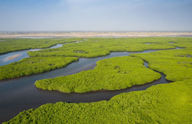 Desierto de Lompoul y deltas de los ríos Senegal y Salum en 10 días - Foto 6