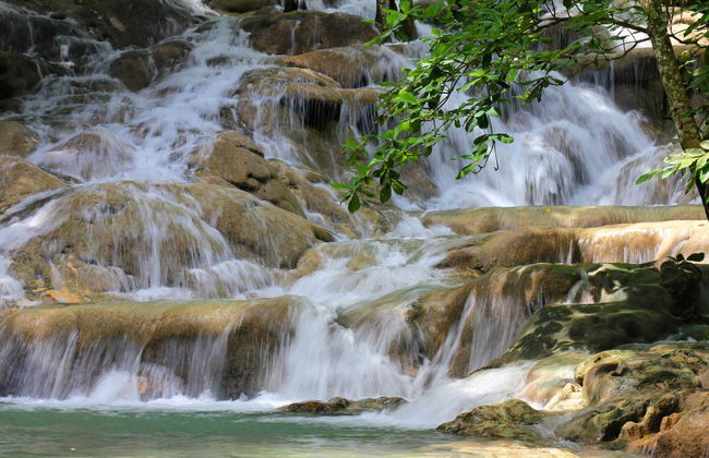 Excursión a las cascadas del río Dunn - Foto 2