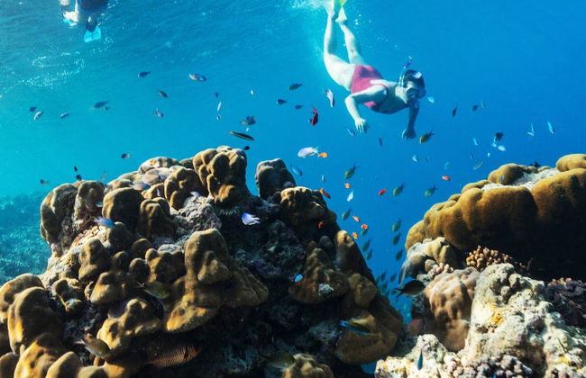 Excursión a Tabarca en barco + Snorkel - Foto 5