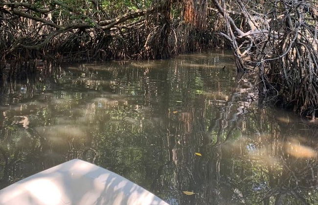 Balade en bateau dans les mangroves de Bentota - Photo 2