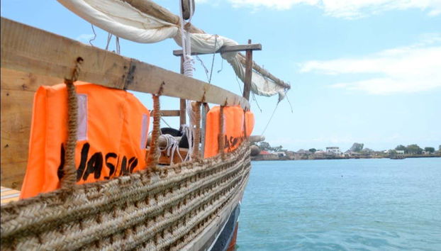 Kisite National Park Dolphin Watching - Photo 5
