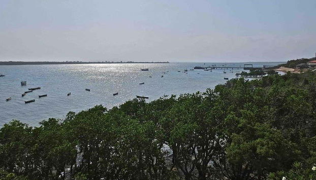 Kisite National Park Dolphin Watching - Photo 3