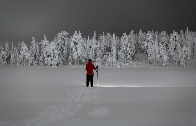Aurora Borealis Snowshoe Tour - Photo 2