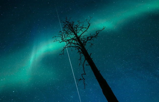 Tour de la aurora boreal en raquetas de nieve - Foto 2