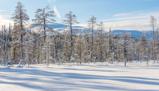 Äkäslompolo Snowmobile Tour - Photo 5