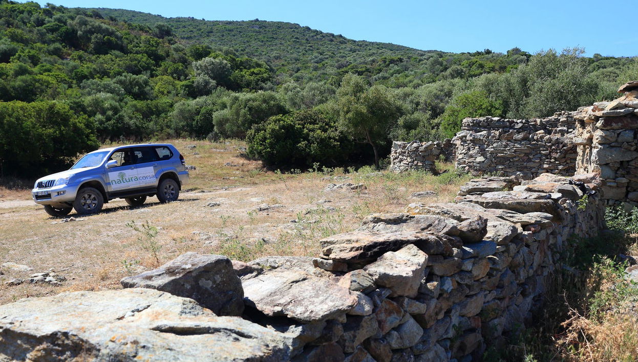 Tour en 4x4 por el desierto de Agriates - Foto 1