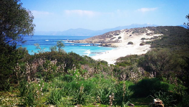 Tour en 4x4 por el desierto de Agriates - Foto 4