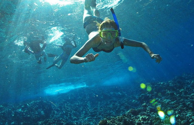 Excursion à Punta Mita et aux îles Marietas - Photo 2