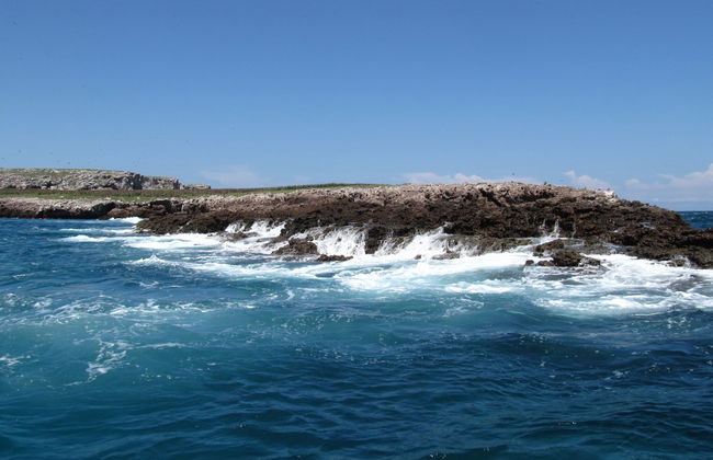 Excursion à Punta Mita et aux îles Marietas - Photo 4