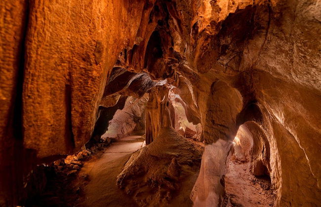 Excursión a las cuevas de San José - Foto 3