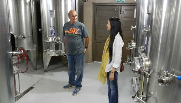 Excursion privée au Valle de Calingasta + Dégustation de vins - Photo 2