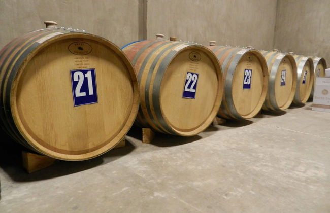 Tour privado por el Valle de Calingasta + Cata de vinos - Foto 2