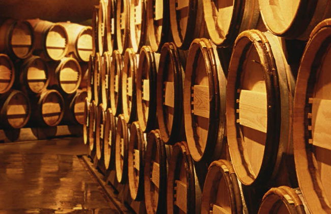 Tour privado por el Valle de Calingasta + Cata de vinos - Foto 6