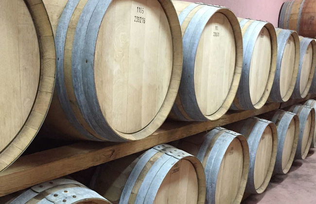 Visita al Cortijo El Cura + Cata de vinos - Foto 1