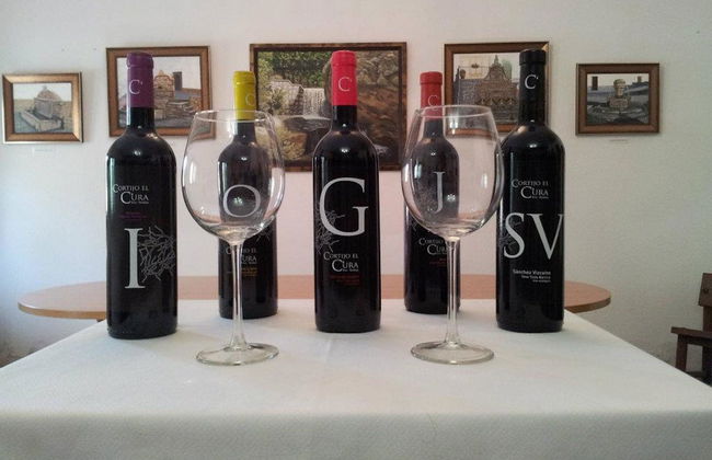 Visita al Cortijo El Cura + Cata de vinos - Foto 5