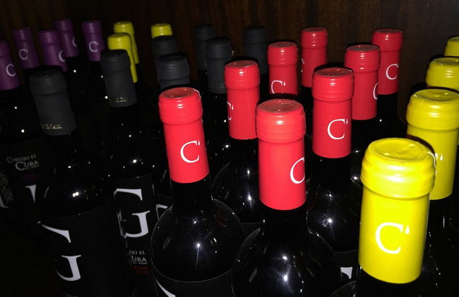 Visita al Cortijo El Cura + Cata de vinos - Foto 7