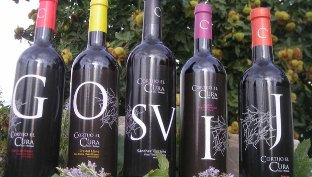 Visita al Cortijo El Cura + Cata de vinos - Foto 2