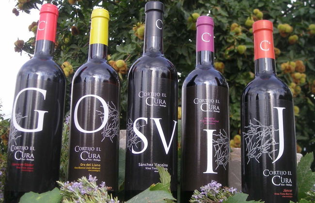 Visita al Cortijo El Cura + Cata de vinos - Foto 2