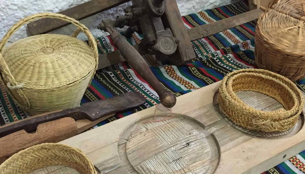 Visita al Cortijo El Cura + Cata de vinos - Foto 4