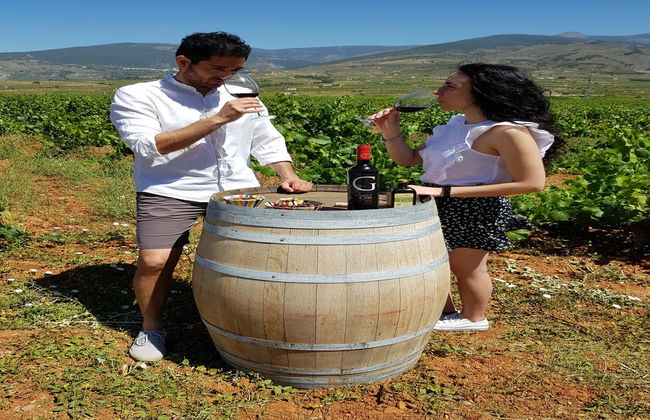 Visita al Cortijo El Cura + Cata de vinos - Foto 10