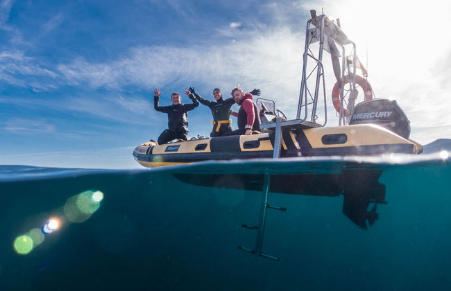 Intro to Scuba Diving Experience - Photo 3