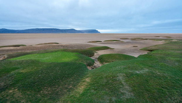 Excursion sur la plage de Raudasandur - Photo 5