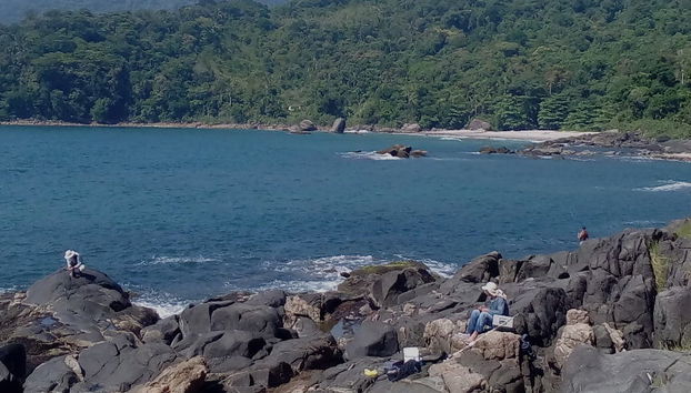 Santo Amaro Island Day Trip - Foto 4