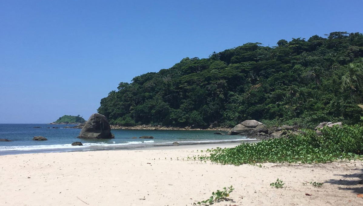 Santo Amaro Island Day Trip - Foto 1