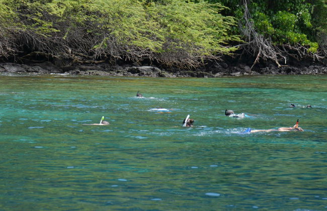 Snorkeling sur l'île d'Hawaï - Photo 2