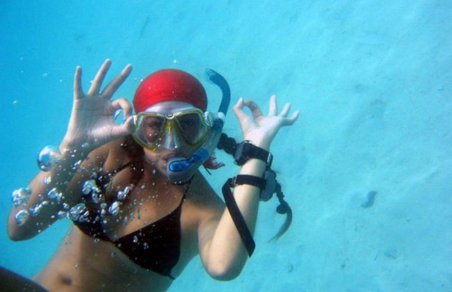Koh Rang National Park Snorkelling - Photo 3