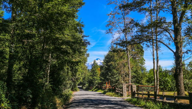 Balade à cheval sur les rives du fleuve Liucura - Photo 3