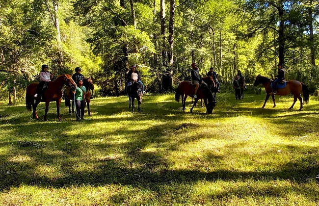 Paseo a caballo por las orillas del río Liucura - Foto 5