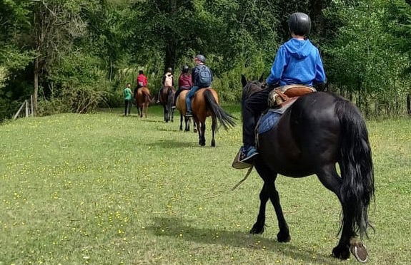 Paseo a caballo por las orillas del río Liucura - Foto 4