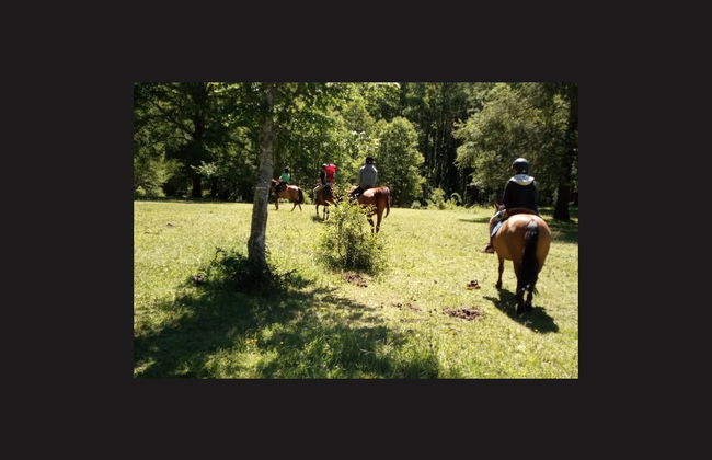 Paseo a caballo por las orillas del río Liucura - Foto 3