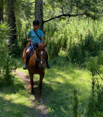 Foto de Paseo a caballo por las orillas del río Liucura