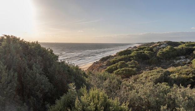 Doñana National Park Horse Riding Tour - Photo 5
