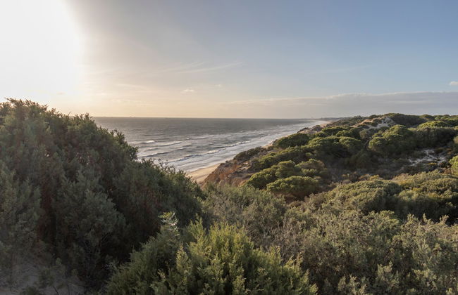 Doñana National Park Horse Riding Tour - Photo 5