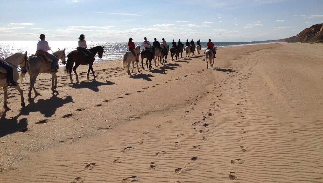 Doñana National Park Horse Riding Tour - Photo 1